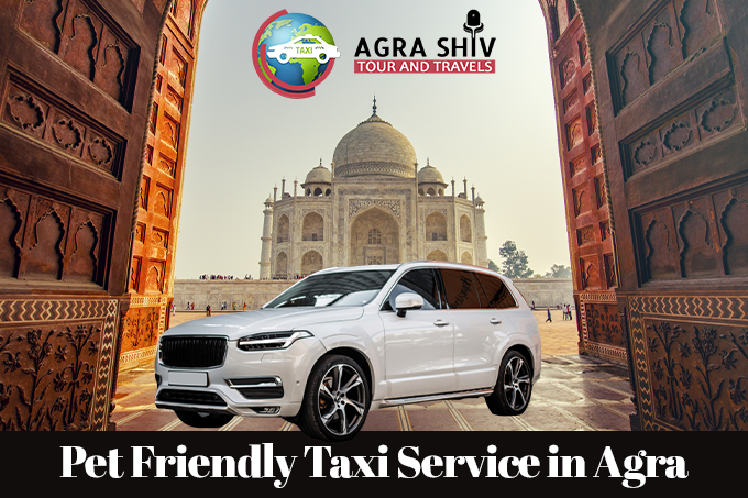 Pet Friendly Taxi Service in Agra