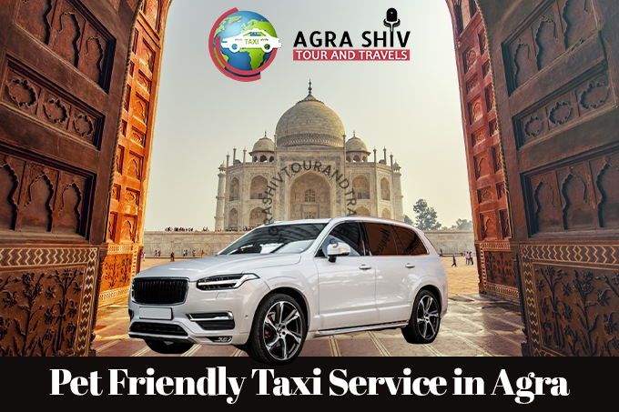 Pet Friendly Taxi Service in Agra