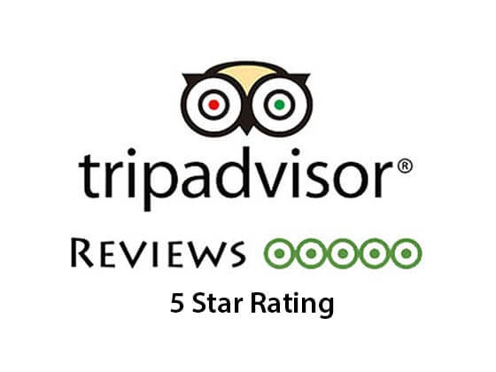 Trip Advisor Reviews