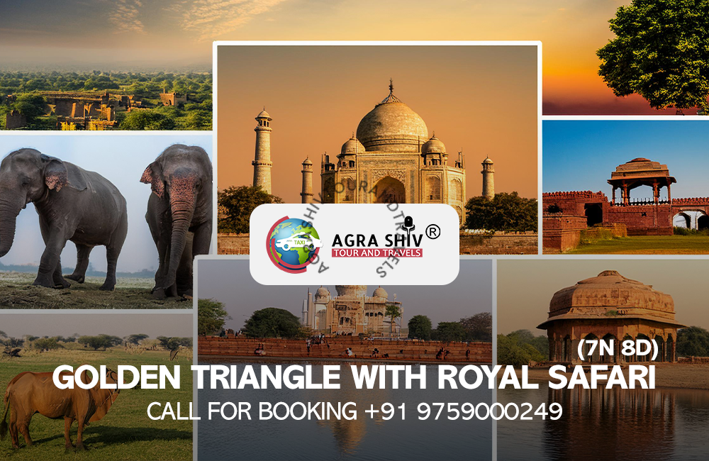 Golden Triangle with Royal Safari Tour 7N 8D