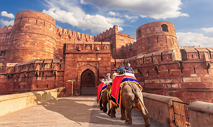 Local 24 hour taxi near me